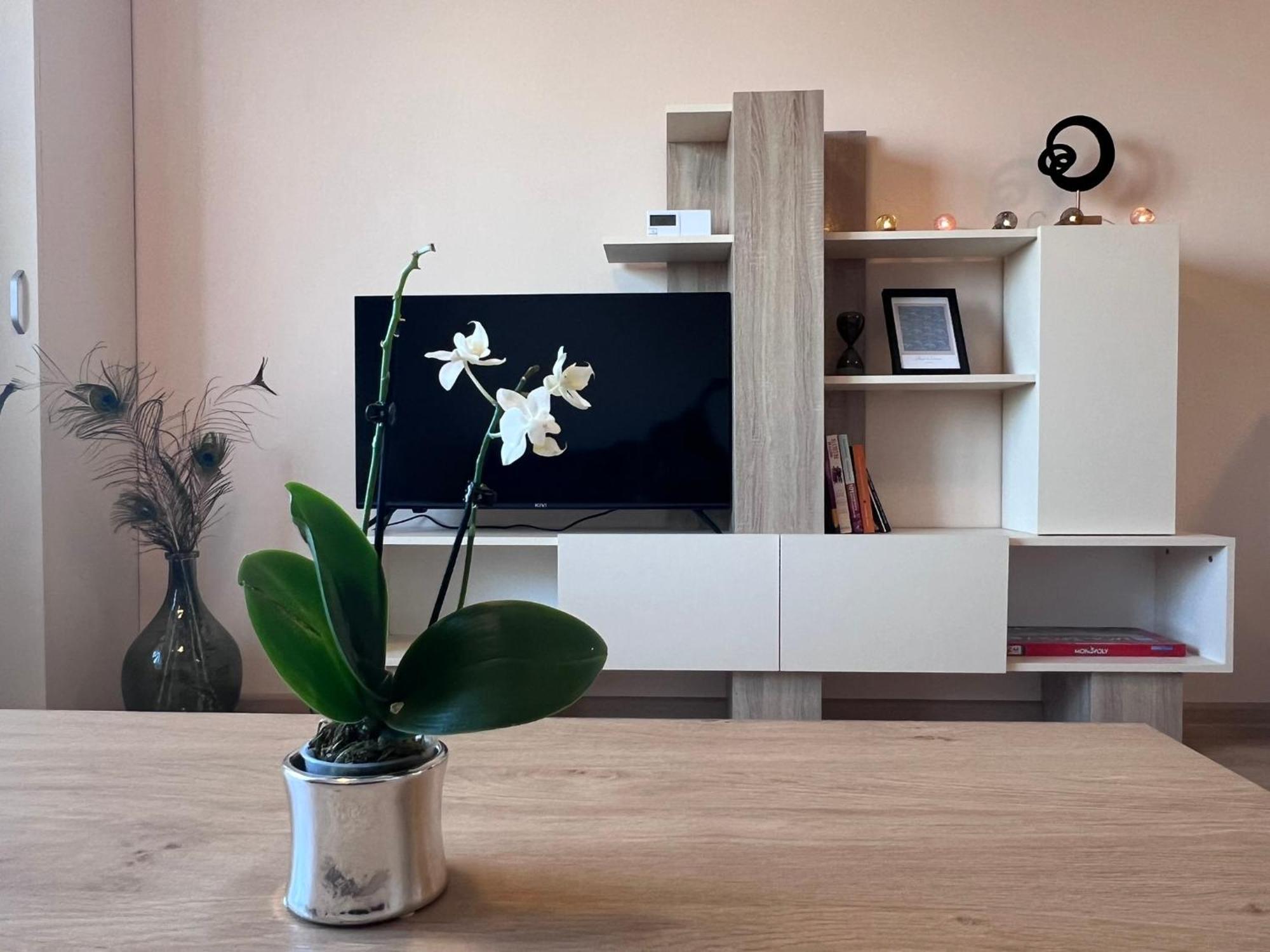 Cappuccino Apartment ソフィア エクステリア 写真